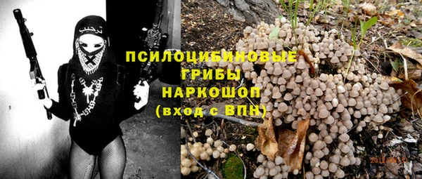 герыч Арсеньев
