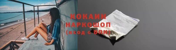 бошки Новодвинск